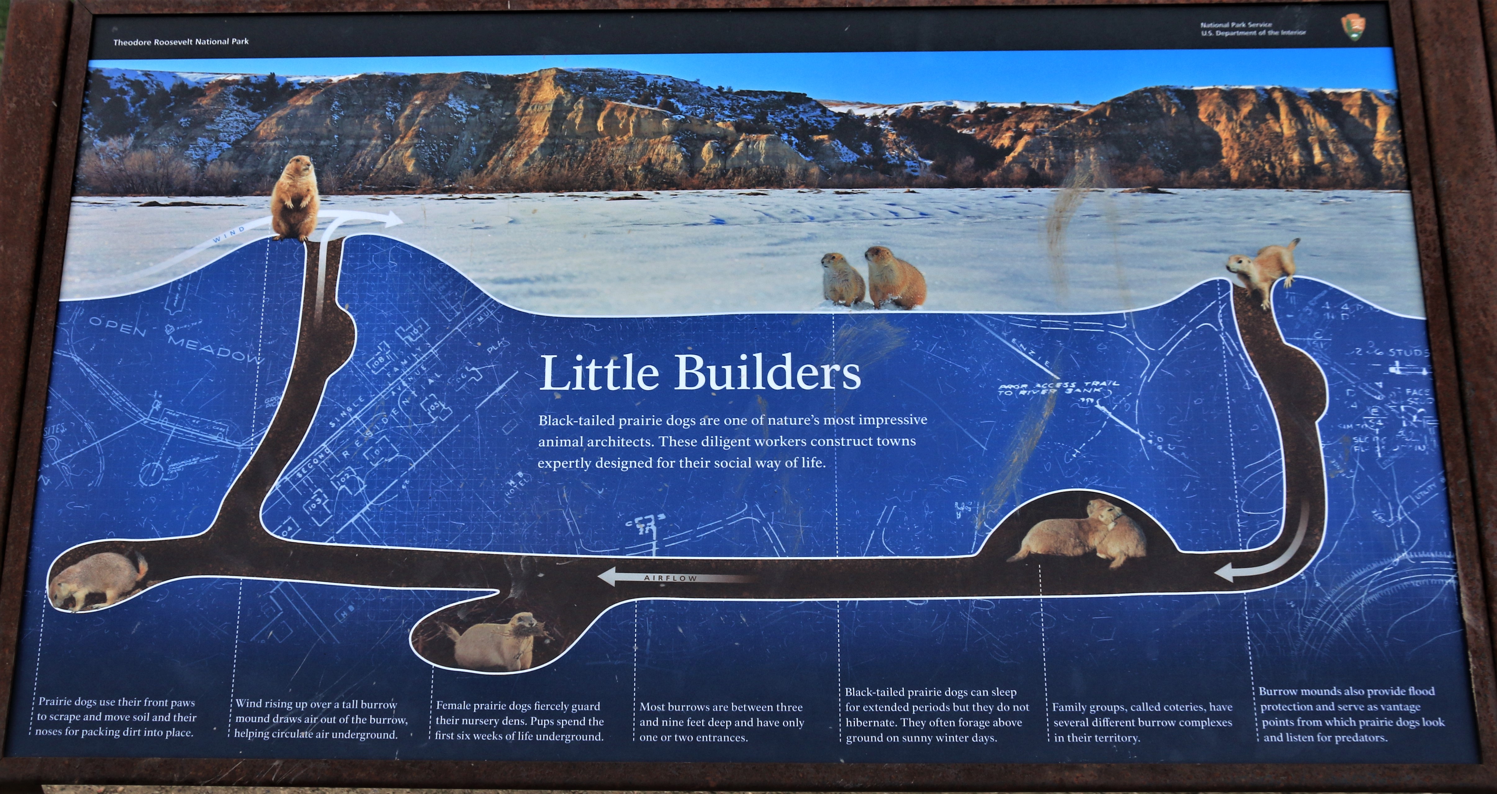 Theodore Roosevelt NP